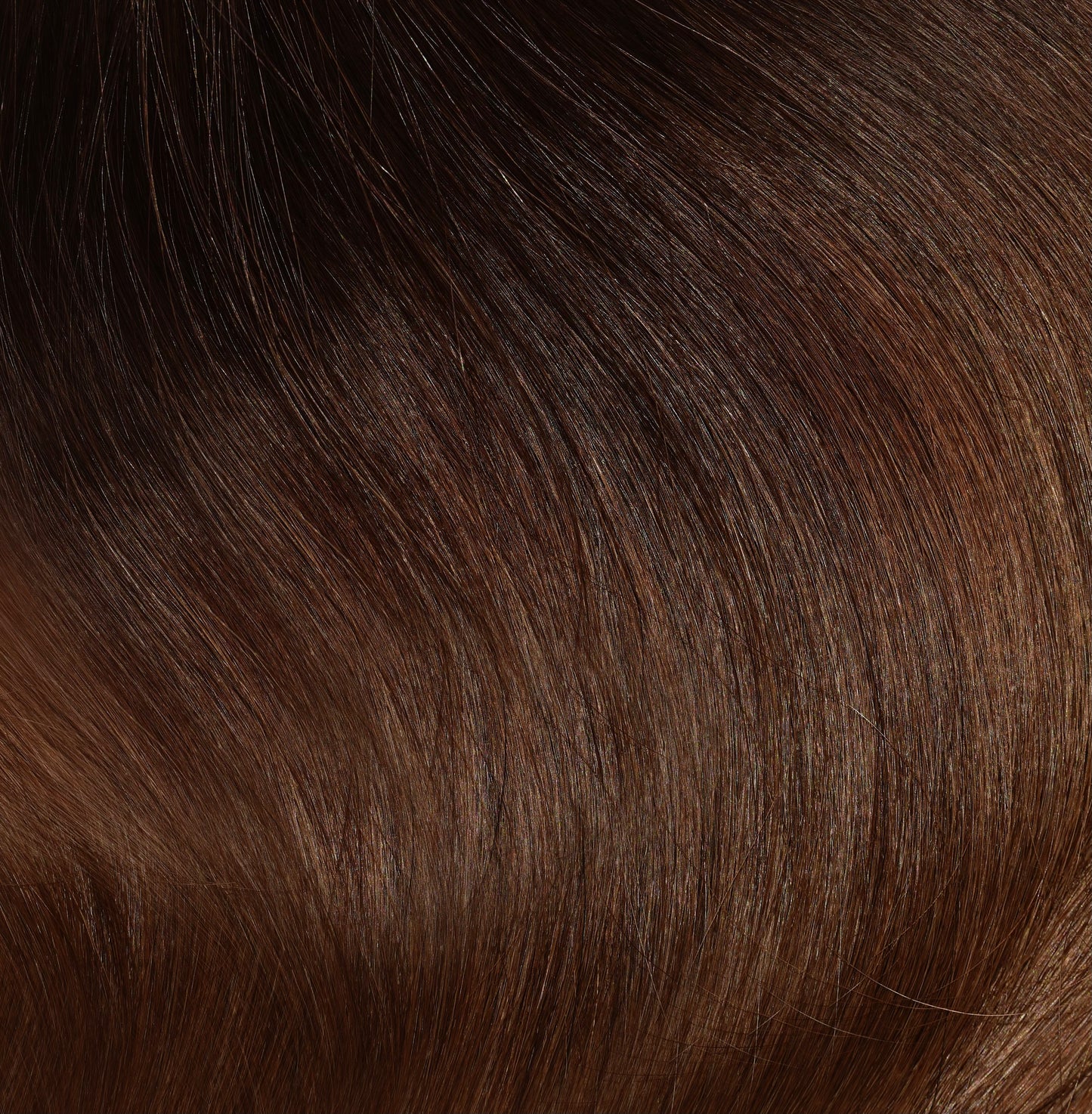 BRUNETTE MUST HAVE COLLECTION