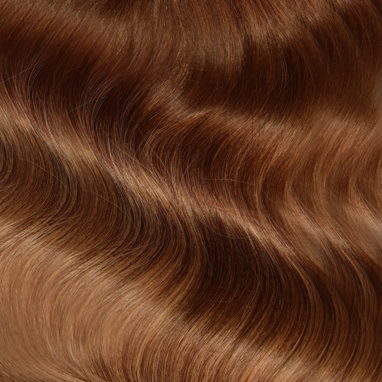 BRONDE MUST HAVE COLLECTION
