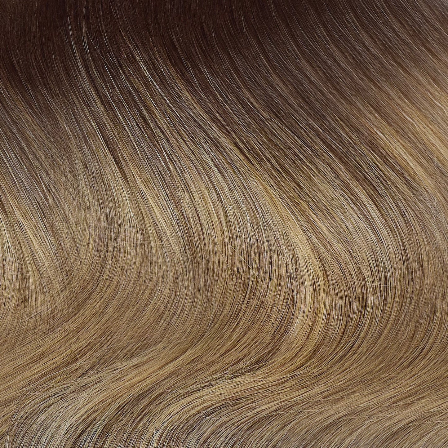 BRONDE MUST HAVE COLLECTION