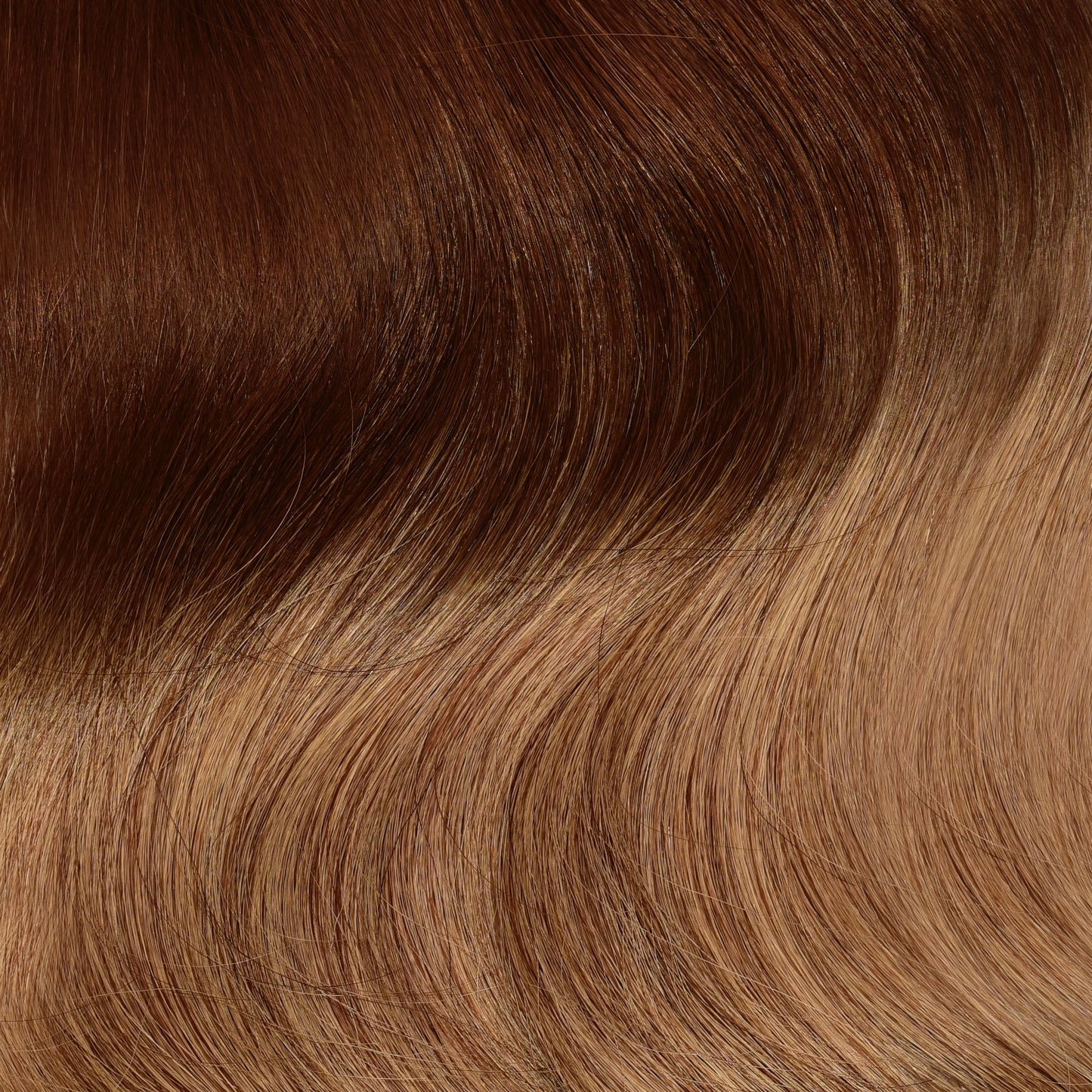 BRONDE MUST HAVE COLLECTION