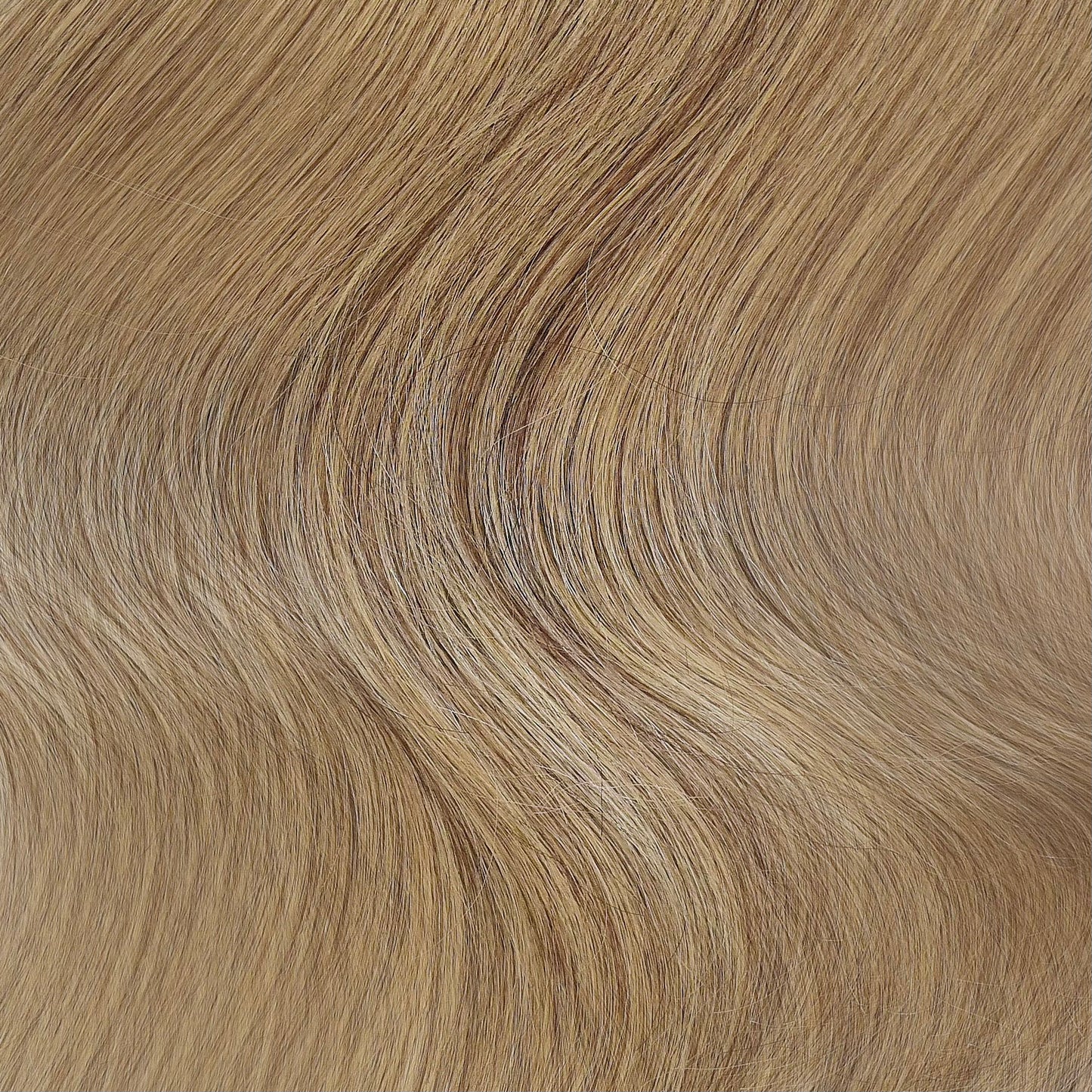COOL DIMENSIONAL BLONDE COLLECTION