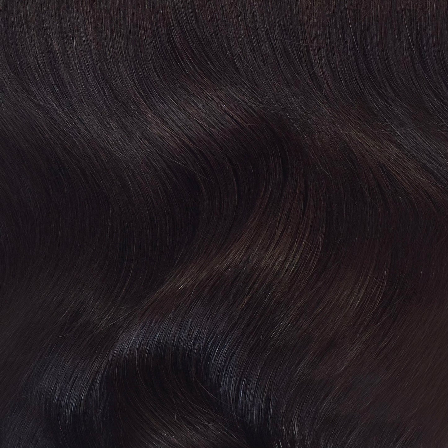 DEEP BRUNETTE COLLECTION