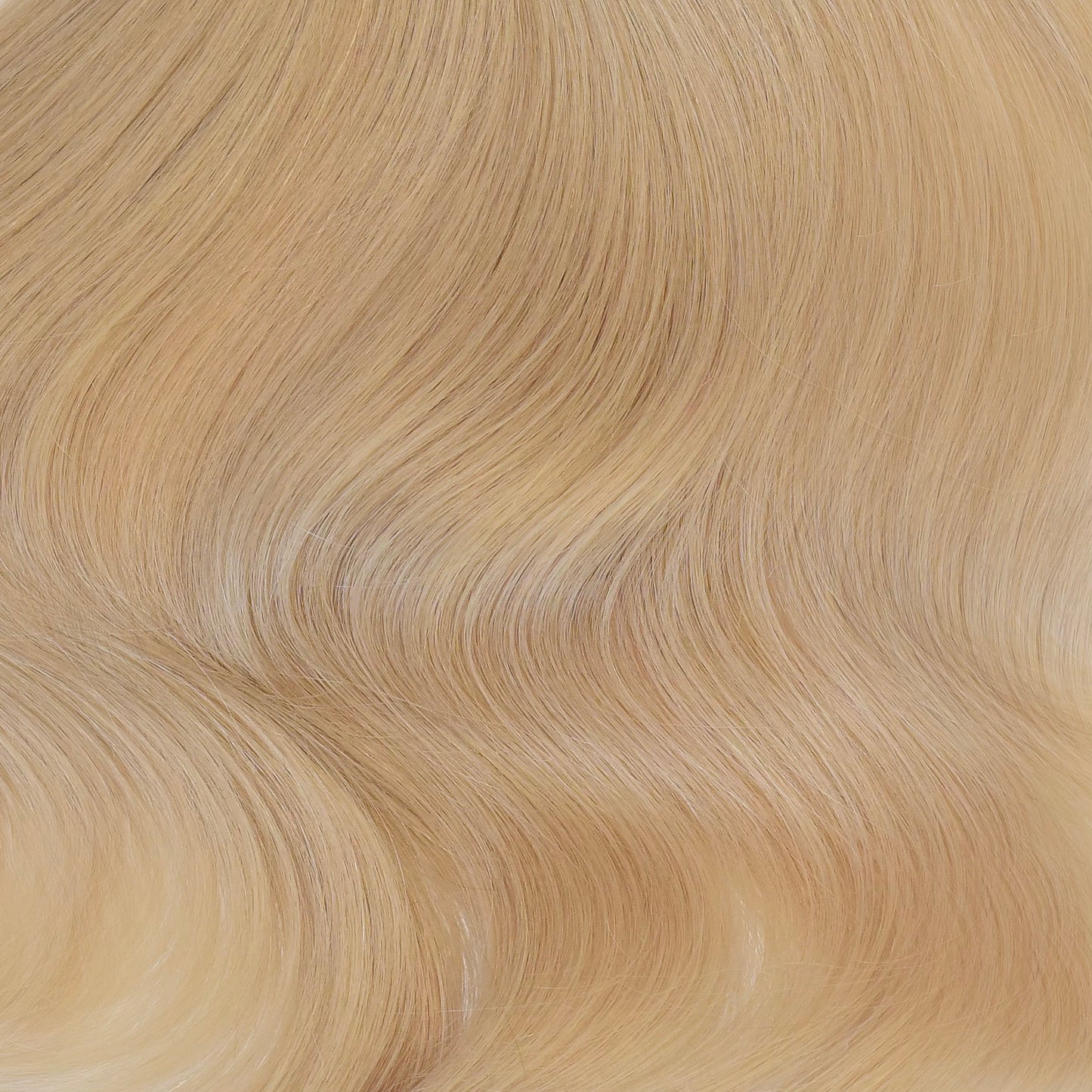 COOL DIMENSIONAL BLONDE COLLECTION
