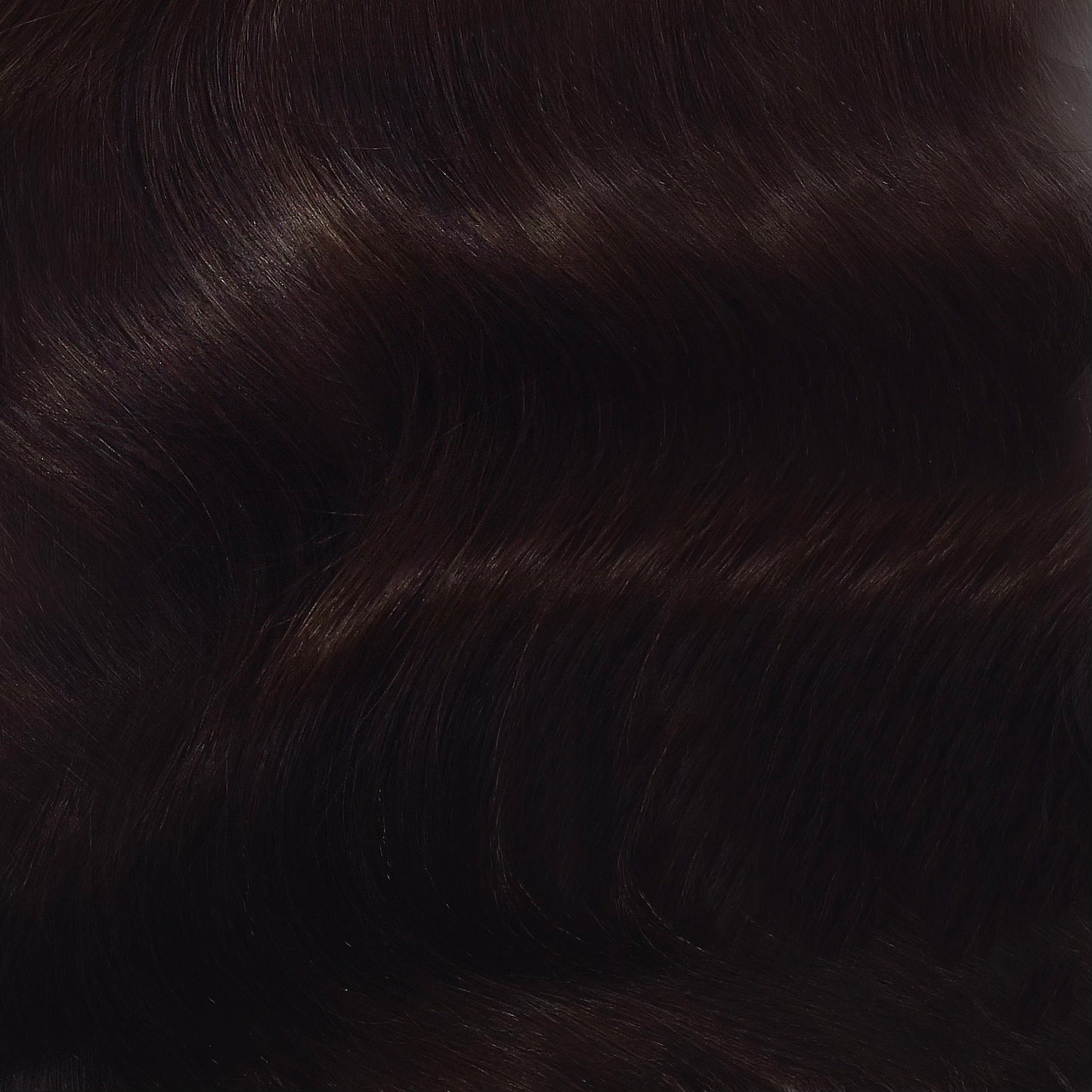 DEEP BRUNETTE COLLECTION