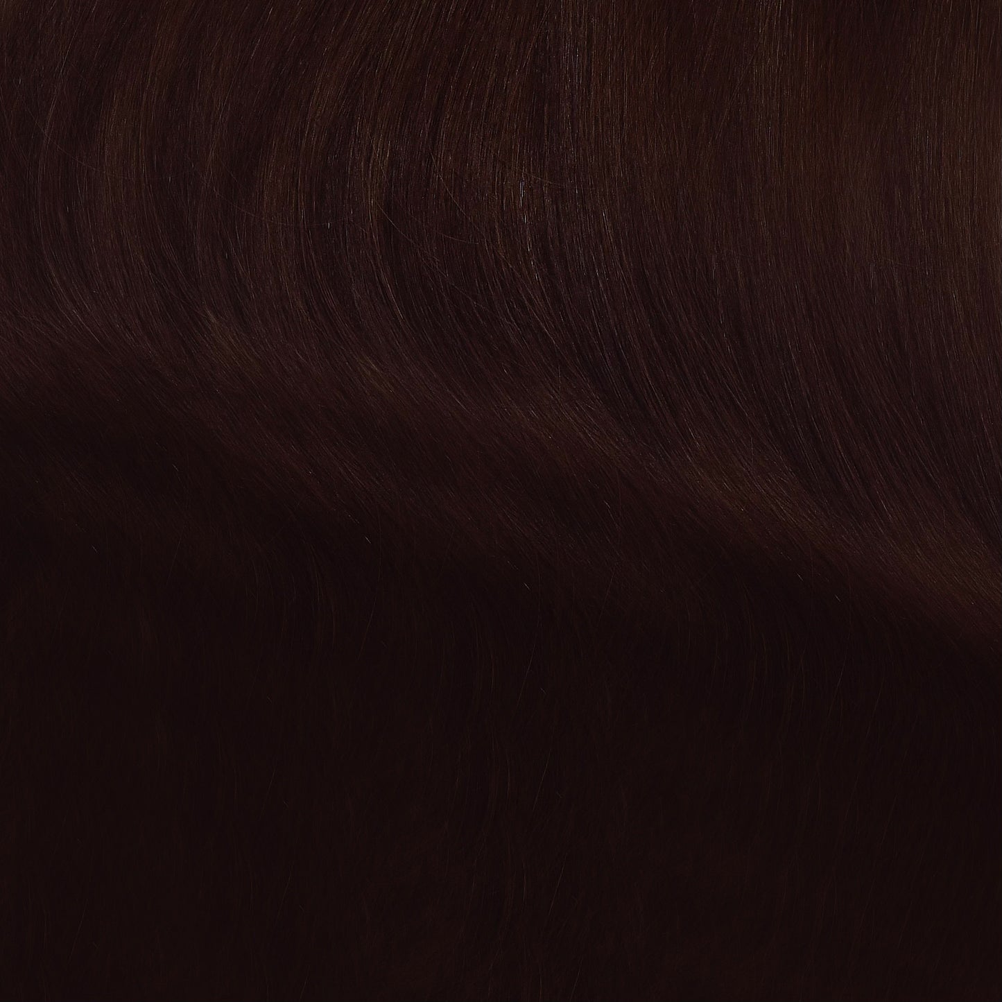 BRUNETTE MUST HAVE COLLECTION