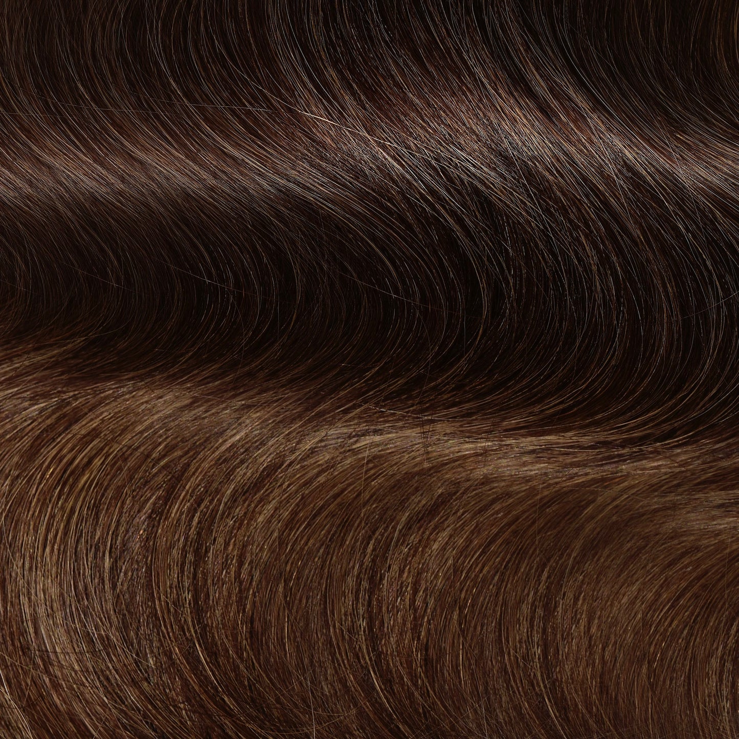 BRUNETTE MUST HAVE COLLECTION