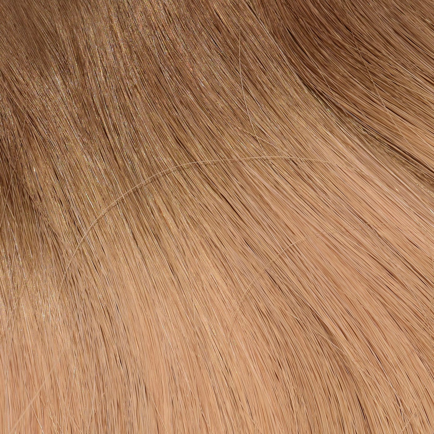 90's DARK BLONDE COLLECTION