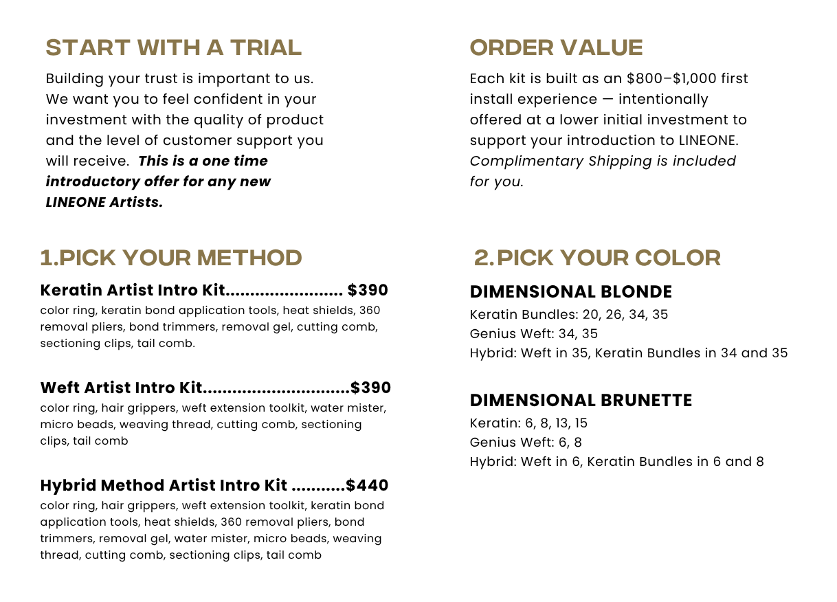 LINEONE Hair Artist Intro Kit brand deck on white showing Keratin, Weft and Hybrid Method tiers for Dimensional Blonde