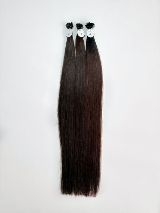 DEEP BRUNETTE COLLECTION