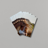 LINEONE Hair Extension At-Home Care guide refill pack of 25 brochures fanned on grey backdrop