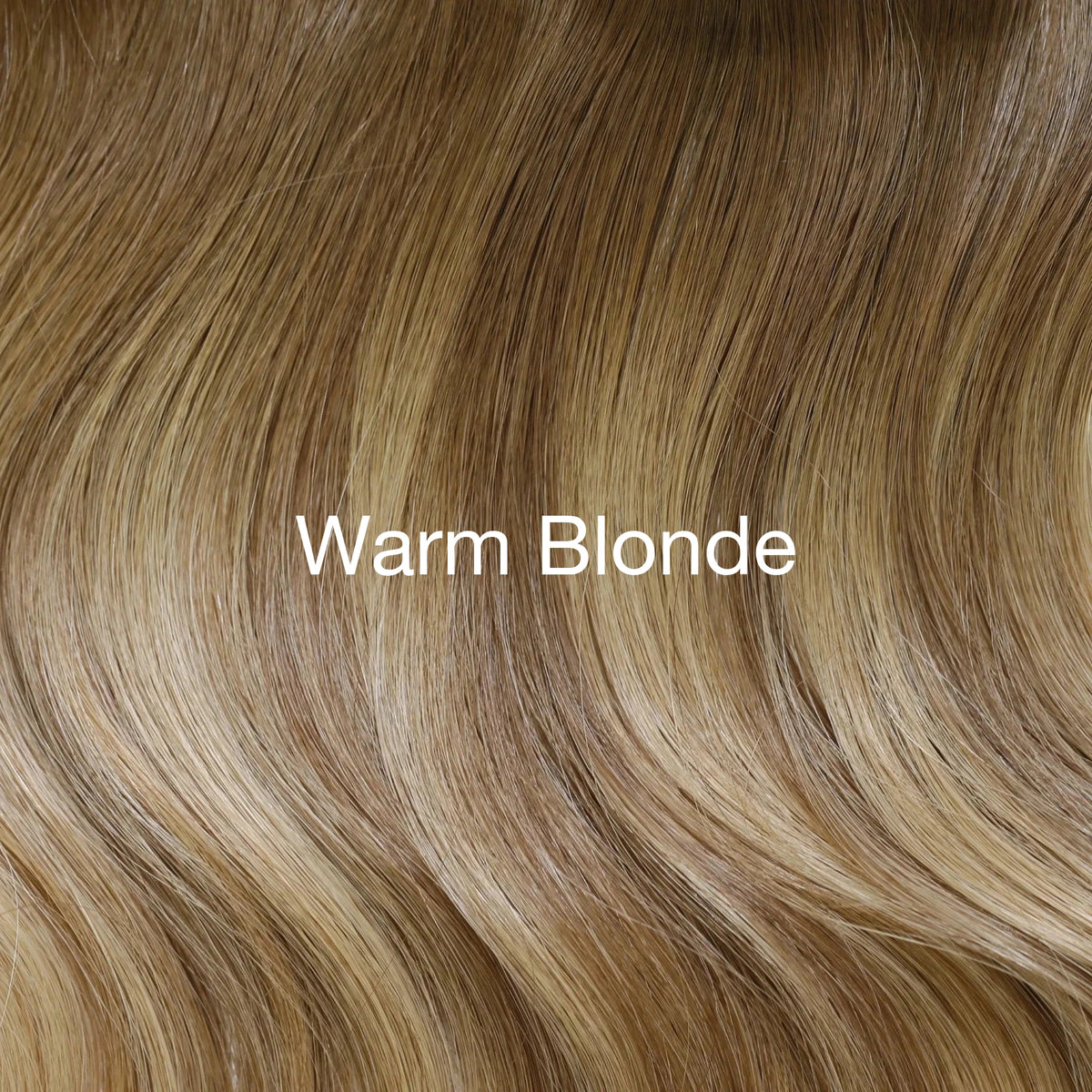 Warm Blonde